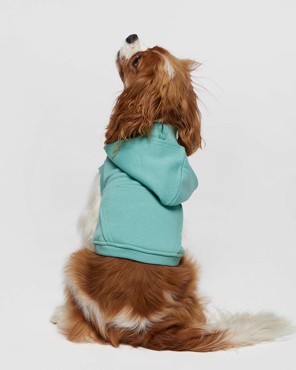 PUPPY AND ME - MATCHING HOODIES
