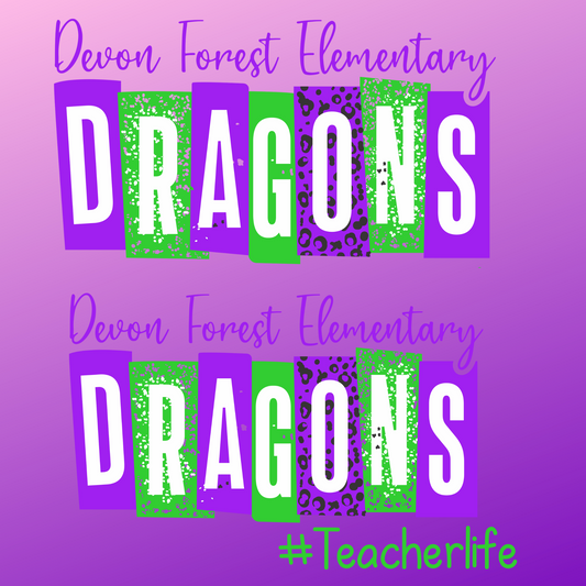 DRAGONS MULTI COLOR LOGO