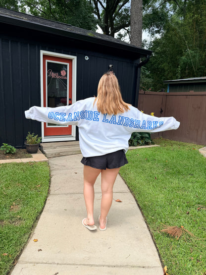 Sample Oversized Sweatshirts