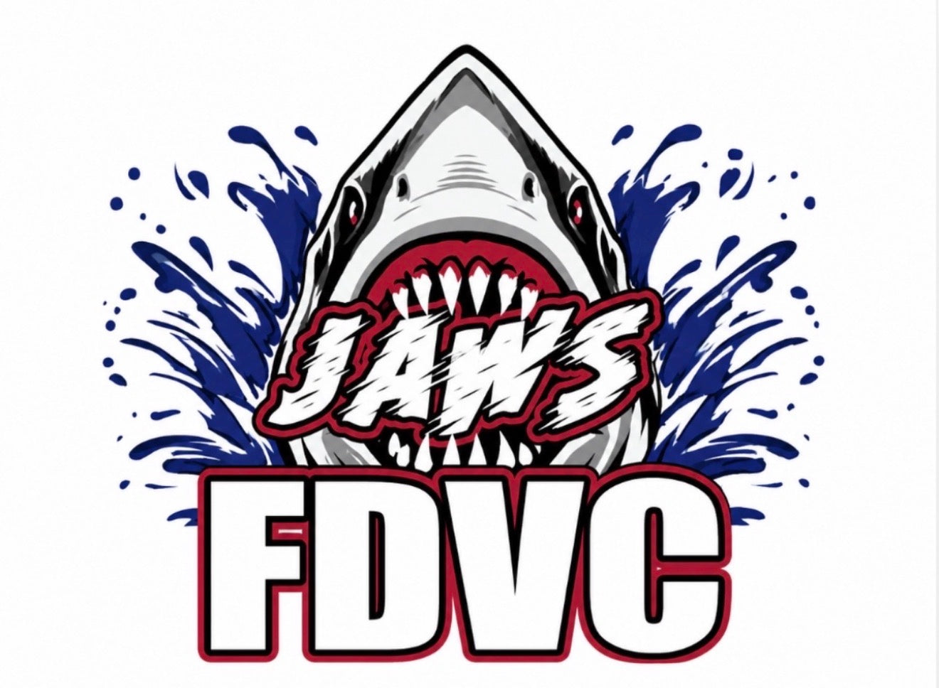 FORT D CHEER - 26/27 COMPETITON THEME - VARSITY