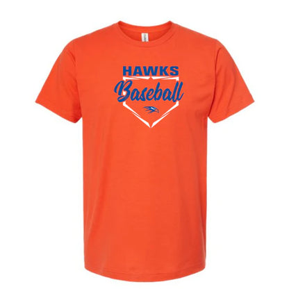Colored Diamond Hawks Graphic